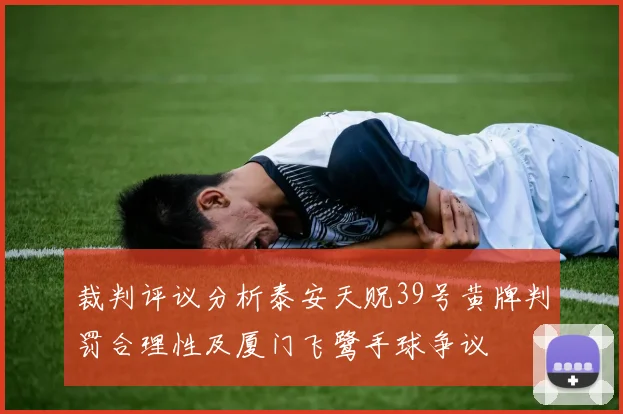 裁判评议分析泰安天贶39号黄牌判罚合理性及厦门飞鹭手球争议